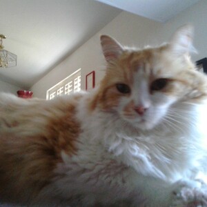 Fundraising Page: Jane Hill